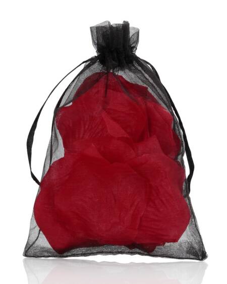 PÉTALAS DE ROSA VERMELHAS LE DÉSIR