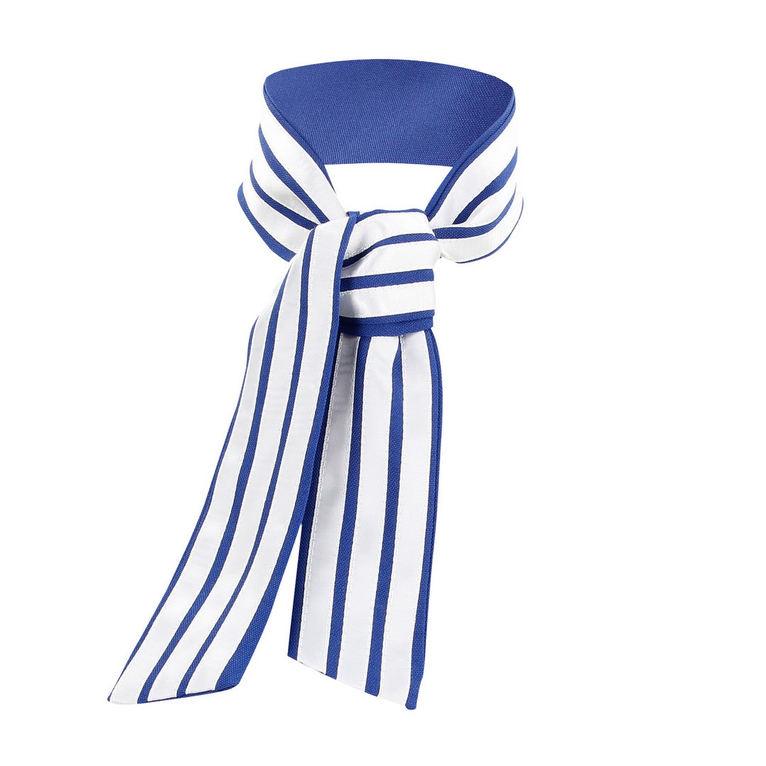 FANTASIA DE HOSPEDEIRA AZUL/BRANCO S-LINE - Image 4