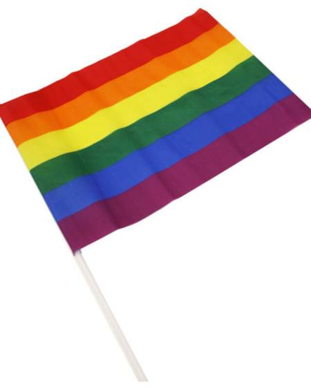 PRIDE - BANDERIN GRANDE BANDERA LGBT