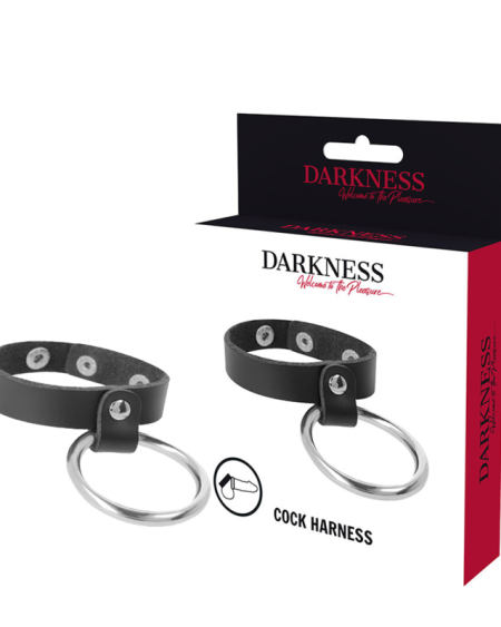 DARKNESS - ANILLO DE METAL PARA EL PENE Y TESTÍCULOS
