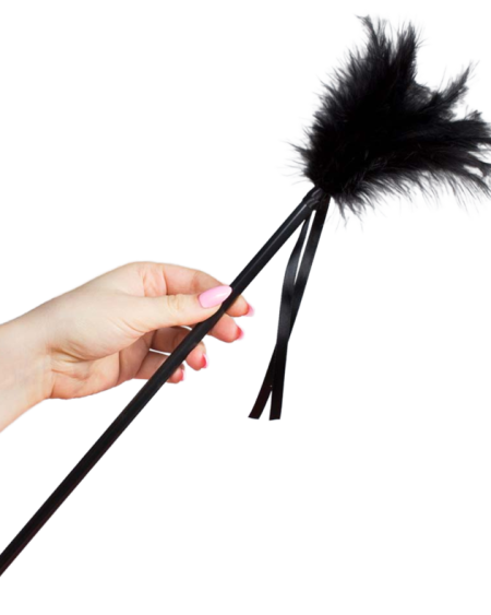 SECRETPLAY - PLUMERO PLUMAS NEGRO 40 CM