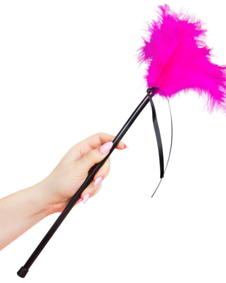 SECRETPLAY - PLUMERO PLUMAS ROSA 40 CM