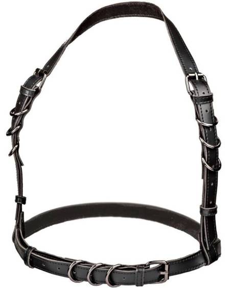 CALEXOTICS - EUPHORIA ARNÉS HATLER CON HEBILLA NEGRO