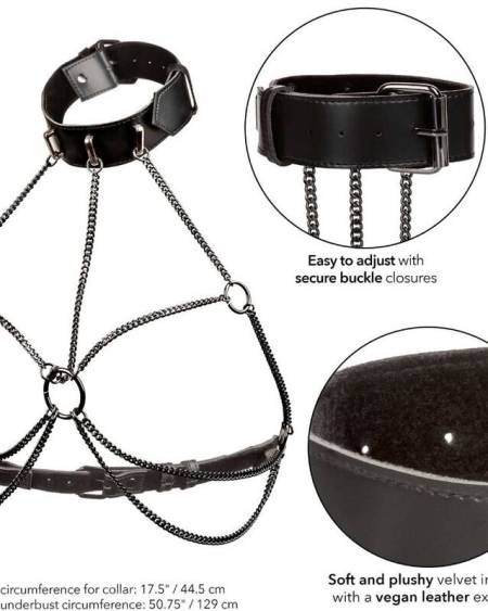 CALEXOTICS - EUPHORIA ARNÉS DE CUELLO DE CADENA TALLA GRANDE