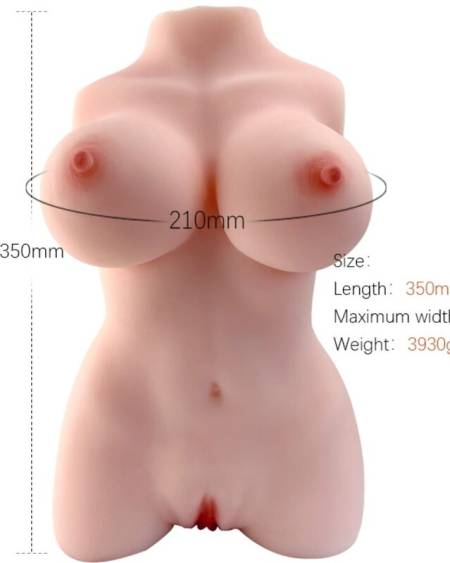 Torso feminino realista da ARMONY