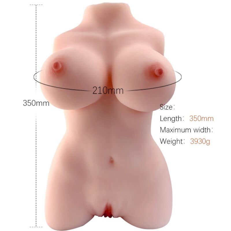 Torso feminino realista da ARMONY