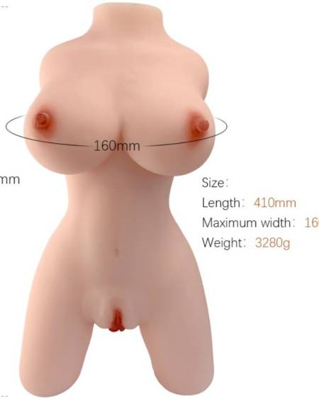 Torso feminino realístico modelo 4 da Armony