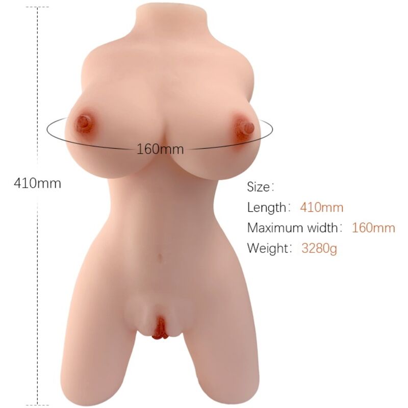 Torso feminino realístico modelo 4 da Armony