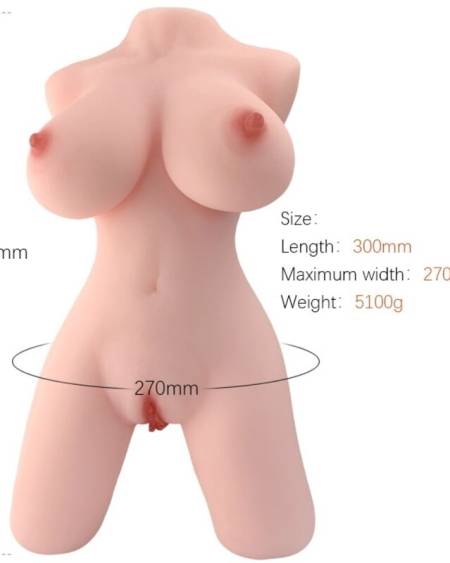 Torso feminino realista modelo 5 da ARMONY