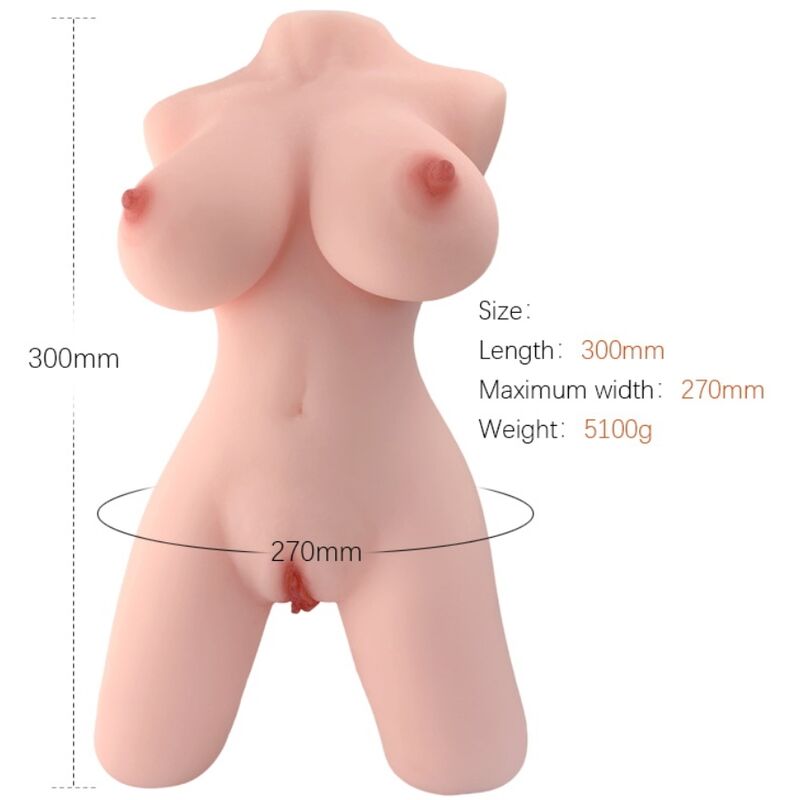 Torso feminino realista modelo 5 da ARMONY
