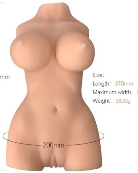 Torso feminino realístico da Armony