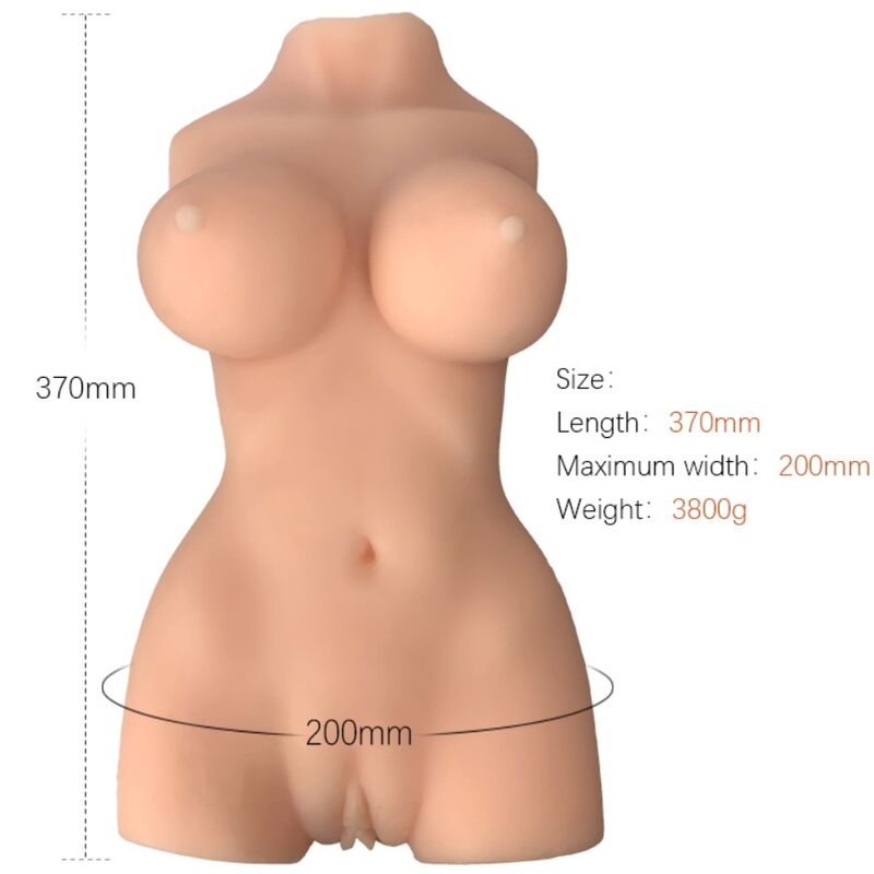 Torso feminino realístico da Armony