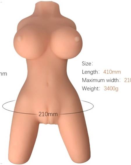 Torso Feminino Realístico Modelo 8 da ARMONY