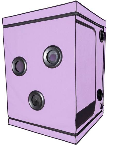 Cabine BDSM SECRET DOME Kink Club Scandale com acessórios de contenção