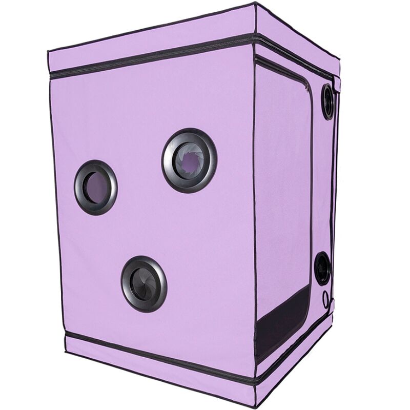 Cabine BDSM SECRET DOME Kink Club Scandale com acessórios de contenção