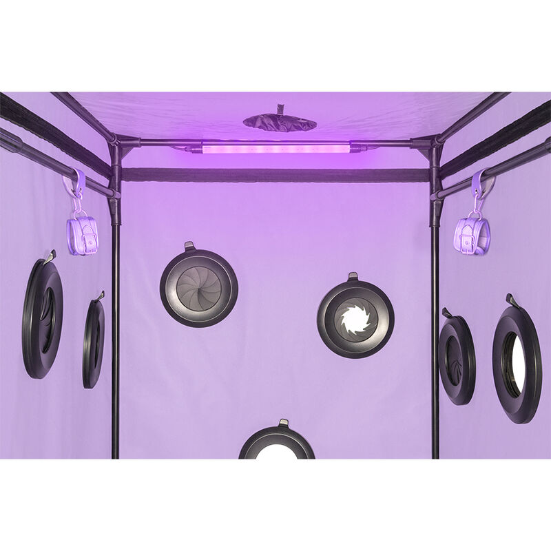 SECRET DOME - KINK CLUB CABINA SCANDALE MORADO