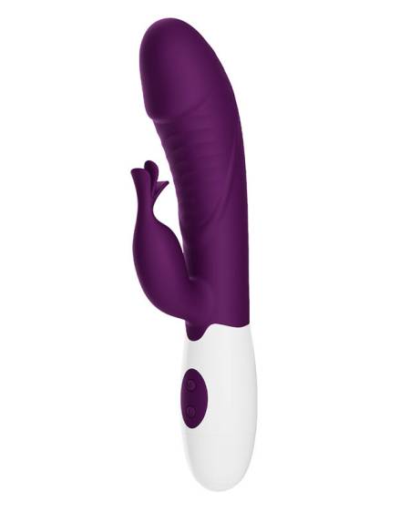 Vibrador coelho PRETTY LOVE Rogue Muse roxo, com estimulador externo flexível.
