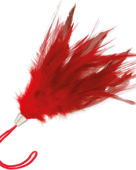 DARKNESS - PLUMA ESTIMULADORA ROJO 17CM